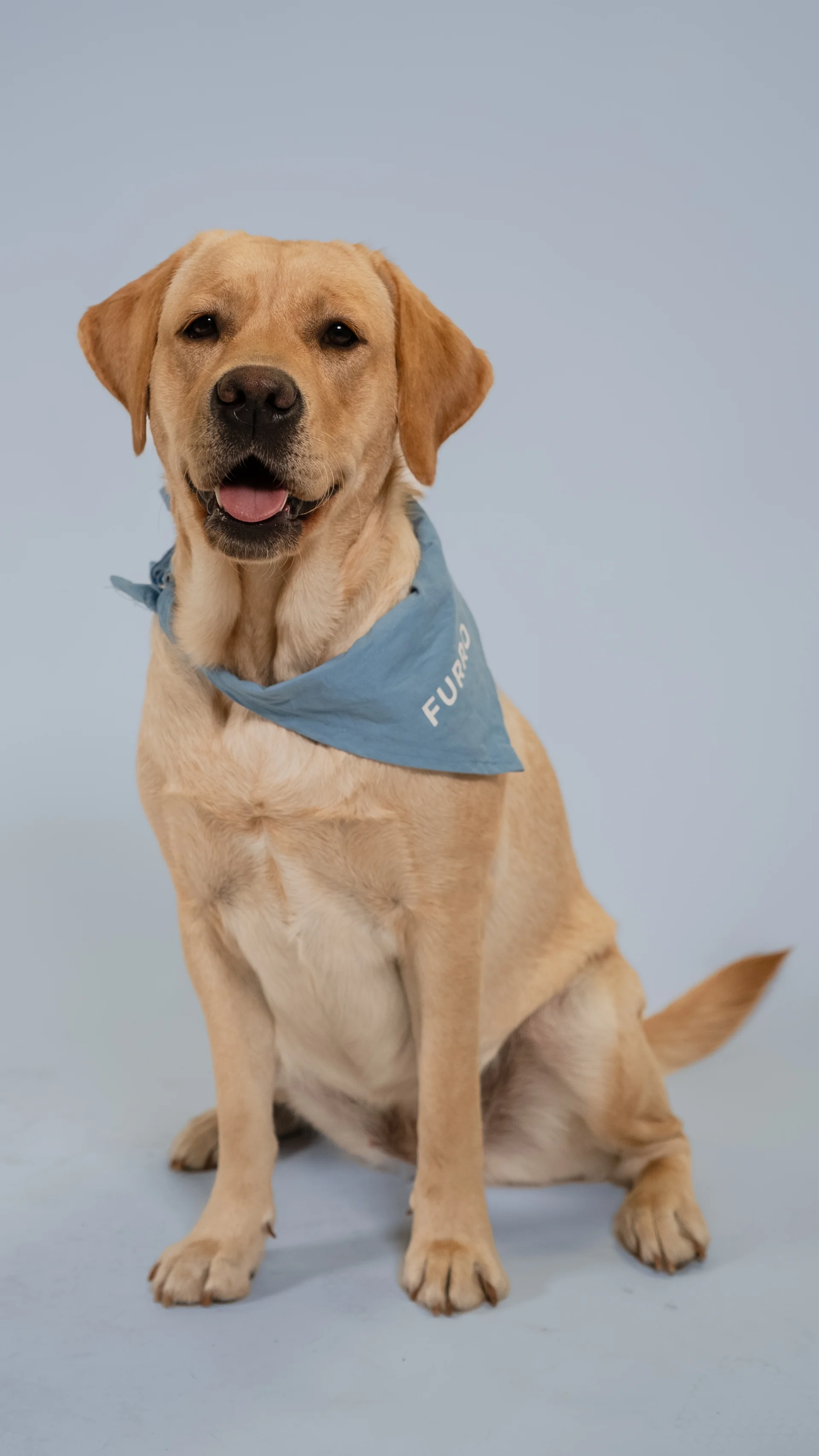 Vertikaalinen kuva esimerkki 3