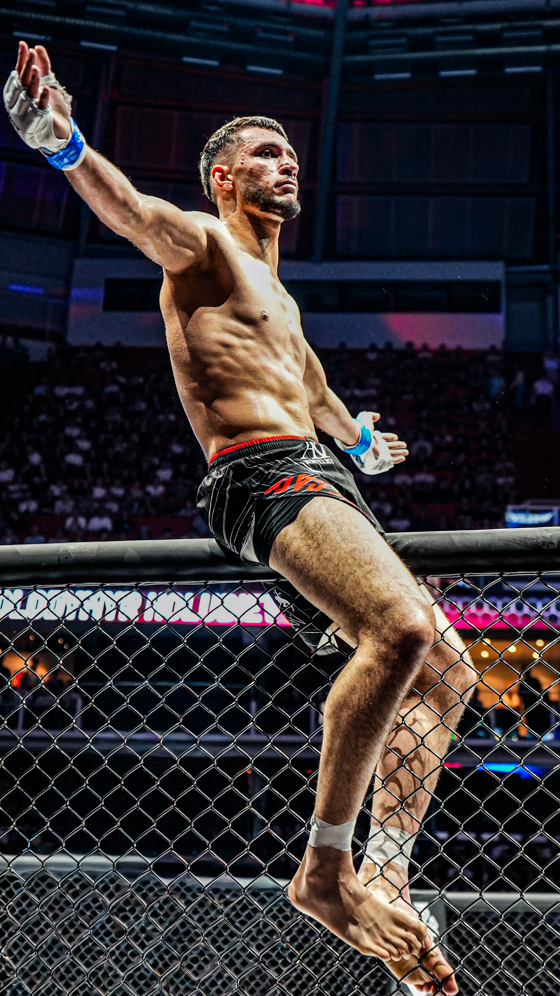 Vertikaalinen kuva esimerkki 1